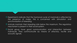  Experiments indicate that the hormonal cycle of mammals is affected by
the presence of males, this is concerned with stimulation and
synchronization of breeding.
 Animals maintain their breeding rate below the maximum. The regulatory
mechanism is present in their social system.
 Social group have good communication and interaction between
individuals. They communicate by means of olfactory, tactile and
acoustic signals.
 