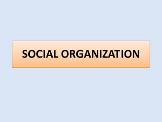 SOCIAL ORGANIZATION
 