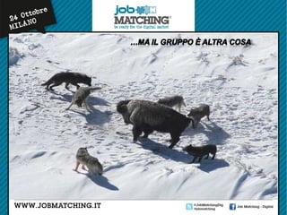 Unleash your Social Organization