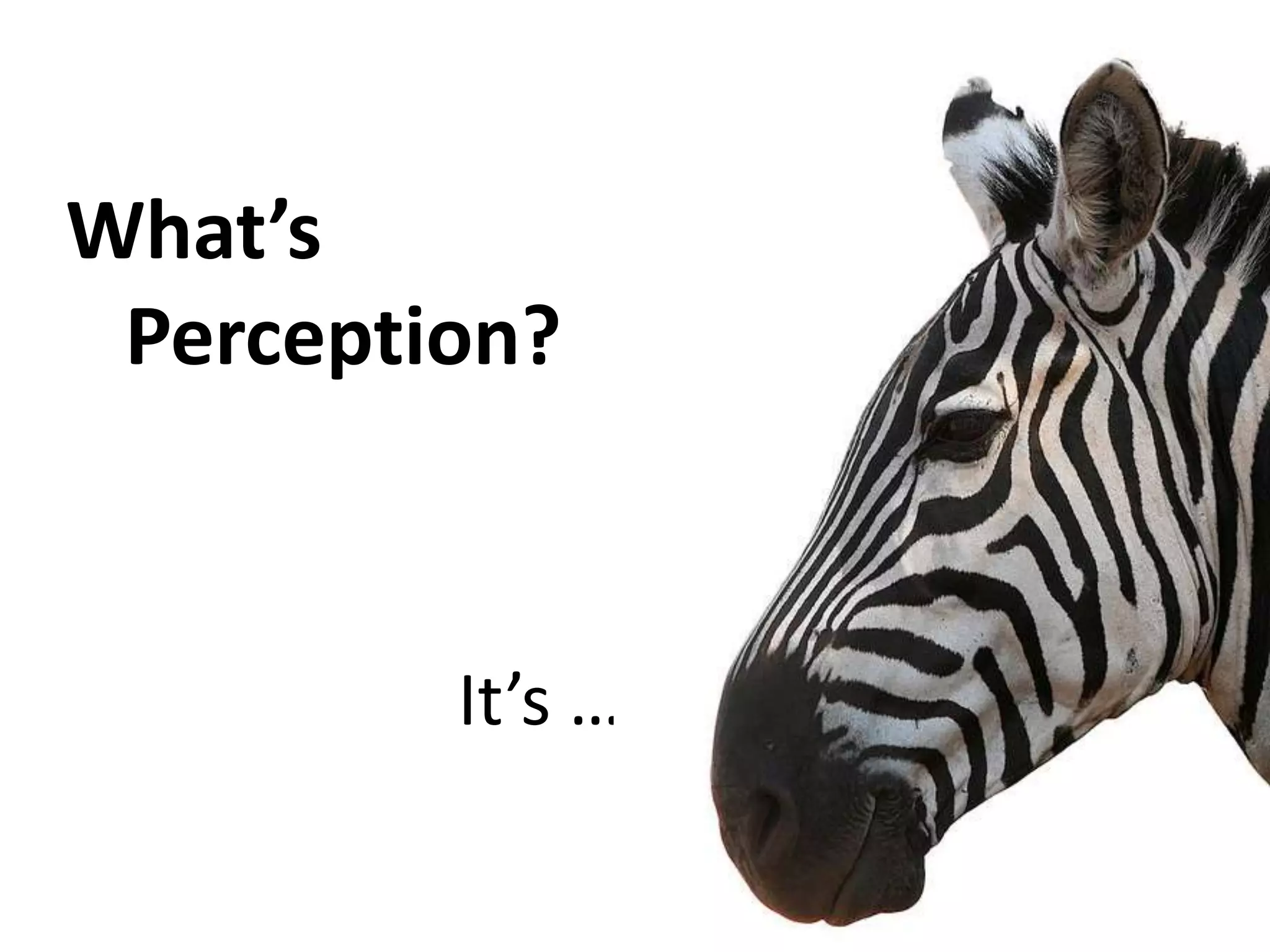 What’s
 Perception?



         It’s …
 