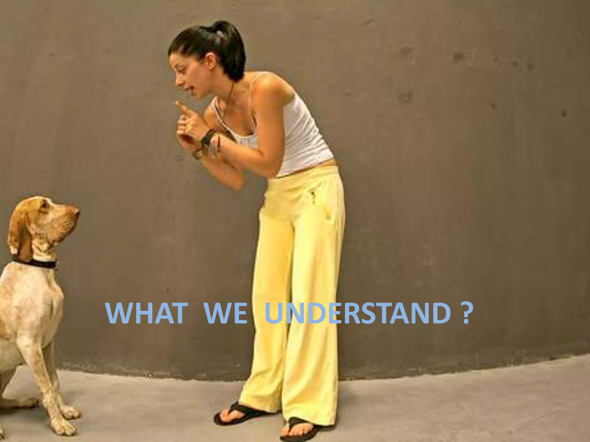 WHAT WE UNDERSTAND ?
 