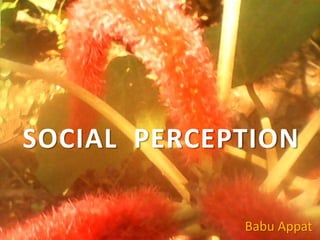 SOCIAL PERCEPTION
Babu Appat
 