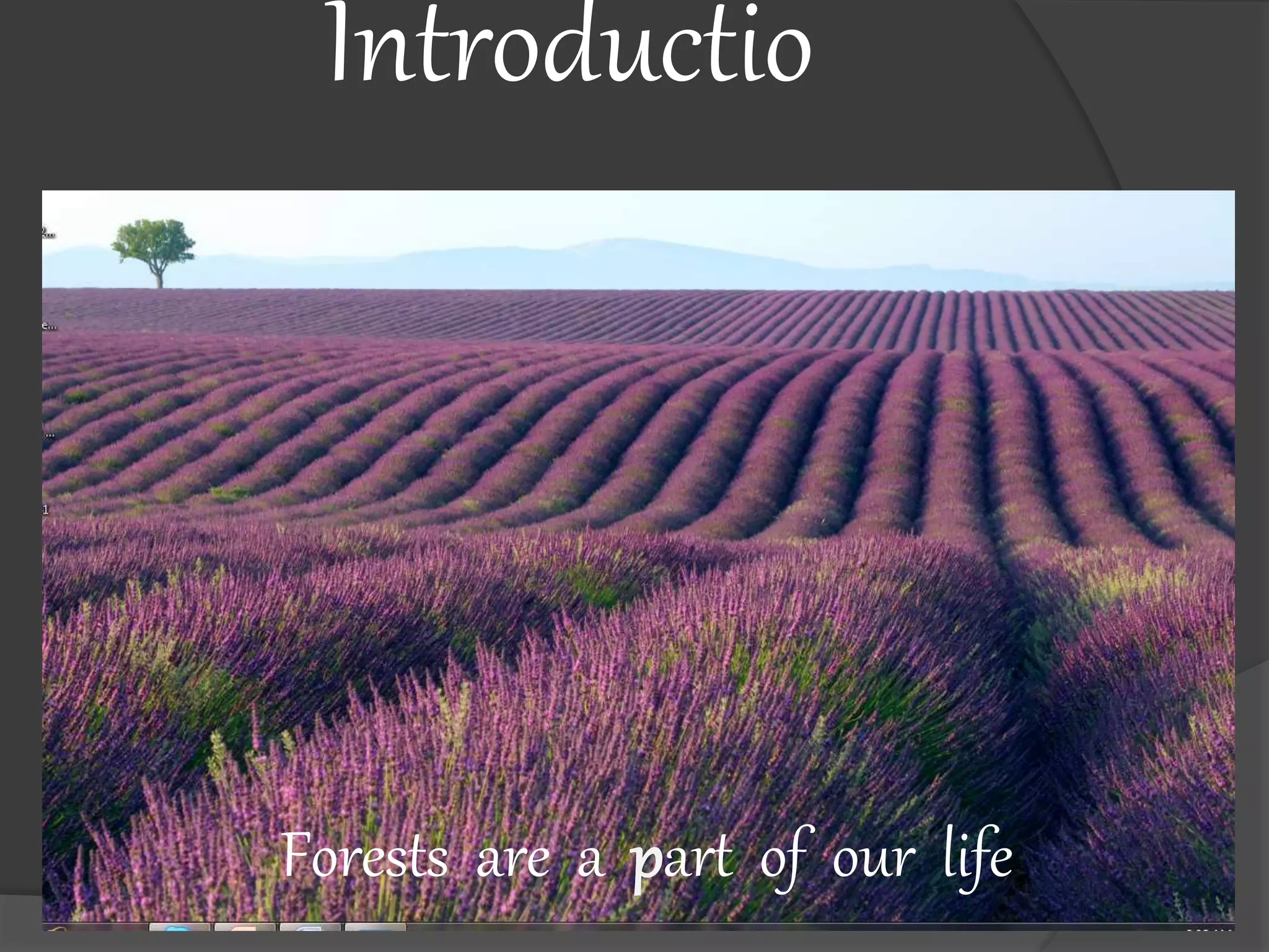 Introductio
n
Forests are a part of our life