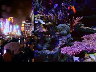 POLLUTION: INDIA AND UAE LAST 5 YEARS