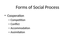 Social Conforms Social_Processes_Sociology_Presentation.pptx
