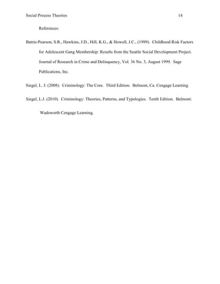 Social Process Theories