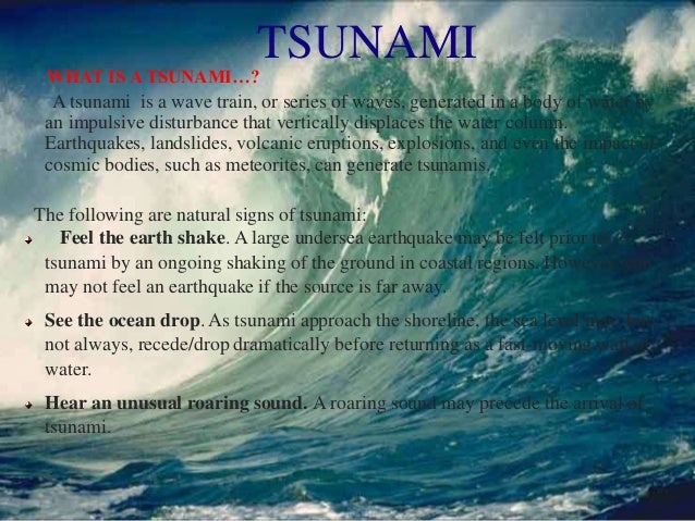 disaster management ppt social project https clk ink essay on disaster management