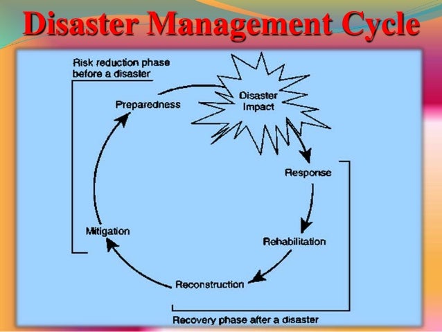 Role of student in disaster management essay