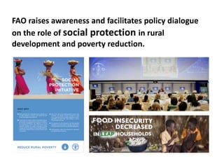 FAO raises awareness and facilitates policy dialogue
on the role of social protection in rural
development and poverty reduction.