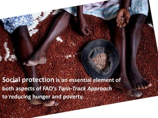 Social protection is an essential element of
both aspects of FAO’s Twin-Track Approach
to reducing hunger and poverty.
