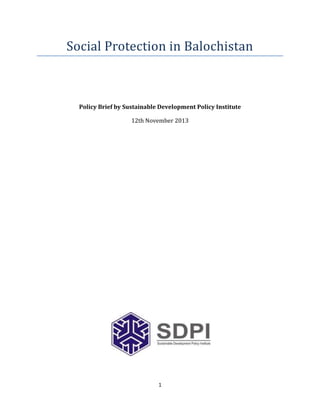 Social Protection in Balochistan

Policy Brief by Sustainable Development Policy Institute
12th November 2013

1

 
