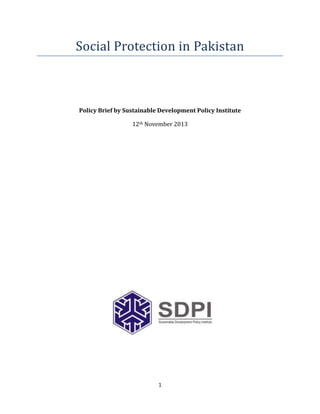 Social Protection in Pakistan

Policy Brief by Sustainable Development Policy Institute
12th November 2013

1

 