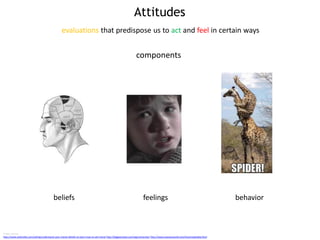 Attitudes
components
beliefs feelings behavior
Image sources
http://www.ianbrodie.com/selling/understand-your-clients-beliefs-to-learn-how-to-sell-more/ http://biggaycloset.com/tag/university/ http://www.maniacworld.com/Arachnophobia.html
evaluations that predispose us to act and feel in certain ways
 