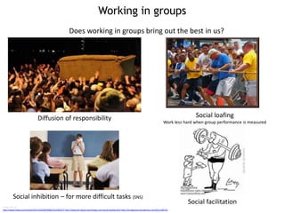 Working in groups
Image sources
http://www.freep.com/article/20131210/NEWS06/312100157/ http://www.all-about-psychology.com/social-loafing.html http://arrogantass.wordpress.com/2011/09/12/
Social inhibition – for more difficult tasks (SNS)
Social loafing
Work less hard when group performance is measured
Social facilitation
Diffusion of responsibility
Does working in groups bring out the best in us?
 