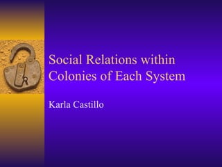 Social Relations within Colonies of Each System Karla Castillo 