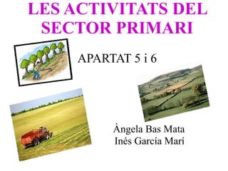 LES ACTIVITATS DEL
SECTOR PRIMARI
APARTAT 5 i 6
Àngela Bas Mata
Inés García Marí
 