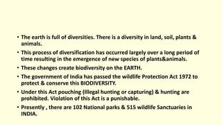 • The earth is full of diversities. There is a diversity in land, soil, plants &
animals.
• This process of diversification has occurred largely over a long period of
time resulting in the emergence of new species of plants&animals.
• These changes create biodiversity on the EARTH.
• The government of India has passed the wildlife Protection Act 1972 to
protect & conserve this BIODIVERSITY.
• Under this Act pouching (Illegal hunting or capturing) & hunting are
prohibited. Violation of this Act is a punishable.
• Presently , there are 102 National parks & 515 wildlife Sanctuaries in
INDIA.
 