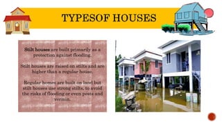 Stilt houses are built primarily as a
protection against flooding.
Stilt houses are raised on stilts and are
higher than a regular house.
Regular homes are built on land but
stilt houses use strong stilts, to avoid
the risks of flooding or even pests and
vermin.
 