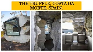 THE TRUFFLE, COSTA DA
MORTE, SPAIN.
 