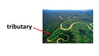 tributary
 