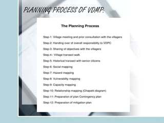 PLANNING PROCESS OF VDMP:
 