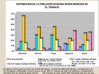 El salario mínimo para la zona A es de $37.90 diarios  ( menos de US$ 3.99 diarios) y corresponde a la Cd. de México y Minatitlán, el de la zona C es de  $32.70  (menos de US$ 3.44 diarios) y corresponde a Quintana Roo en donde se sitúa Cancún.  (Se incluyen en este cuadro 664 individuos que son los que trabajan. US$ 3.99, los mayas US $ 3.44 De  US$ 3.99 a US$ 7.98 Mayas  de US$ 3.45 a US$ 6.88 Más de US$ 10.33, los mayas más de US$ 11.97 