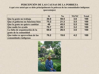 PERCEPCIÓN DE LAS CAUSAS DE LA POBREZA A qué cree usted que se debe principalmente la pobreza de las comunidades indígenas : (porcentajes) 
