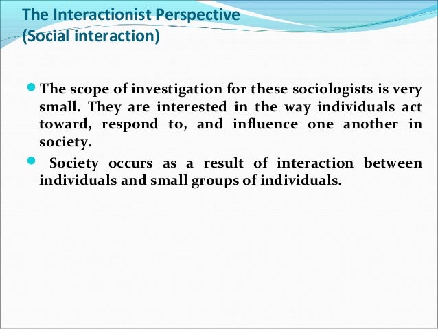 interactionist perspective