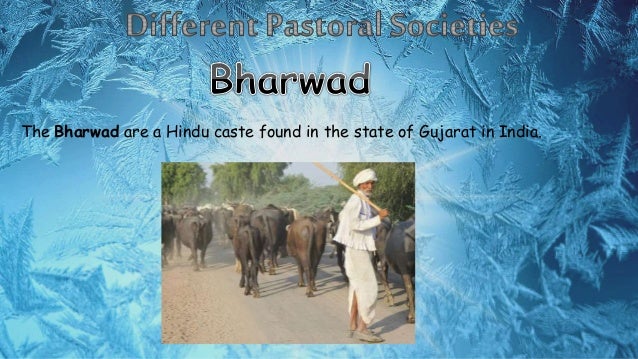 Meaning Of Pastoral In Hindi Different Pastoral Communities- PPT