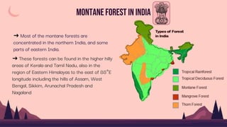 MontaneForest in India
➜ Most of the montane forests are
concentrated in the northern India, and some
parts of eastern India.
➜ These forests can be found in the higher hilly
areas of Kerala and Tamil Nadu, also in the
region of Eastern Himalayas to the east of 88°E
longitude including the hills of Assam, West
Bengal, Sikkim, Arunachal Pradesh and
Nagaland
 