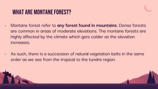 What are Montaneforest?
• Montane forest refer to any forest found in mountains. Dense forests
are common in areas of moderate elevations. The montane forests are
highly affected by the climate which gets colder as the elevation
increases.
• As such, there is a succession of natural vegetation belts in the same
order as we see from the tropical to the tundra region.
 