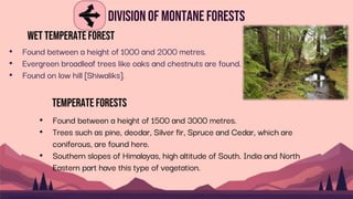 Divisionof Montane Forests
• Found between a height of 1000 and 2000 metres.
• Evergreen broadleaf trees like oaks and chestnuts are found.
• Found on low hill [Shiwaliks].
Wet Temperate Forest
Temperate forests
• Found between a height of 1500 and 3000 metres.
• Trees such as pine, deodar, Silver fir, Spruce and Cedar, which are
coniferous, are found here.
• Southern slopes of Himalayas, high altitude of South. India and North
Eastern part have this type of vegetation.
 