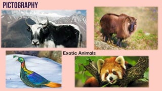 Pictography
Exotic Animals
 