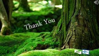 Indias Physical Features Pptx