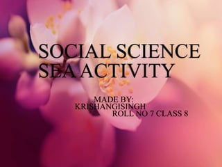 SOCIAL SCIENCE
SEAACTIVITY
MADE BY:
KRISHANGISINGH
ROLL NO 7 CLASS 8
 