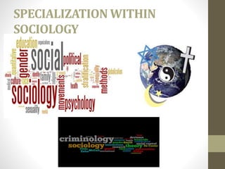SPECIALIZATION WITHIN
SOCIOLOGY
 