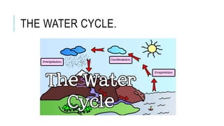 THE WATER CYCLE.
 