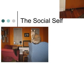 The Social Self 