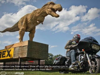 Attention Low Rider owners! Show off your bike by posting a pic in 
the comments below. Who will get the most likes? 
 