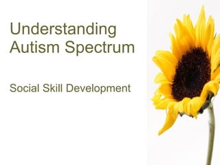 Understanding Autism Spectrum Social Skill Development 