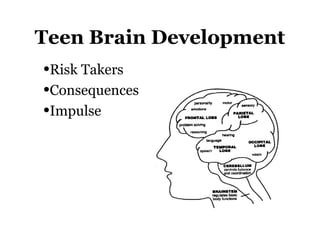 Teen Brain Development
•Risk Takers
•Consequences
•Impulse
 