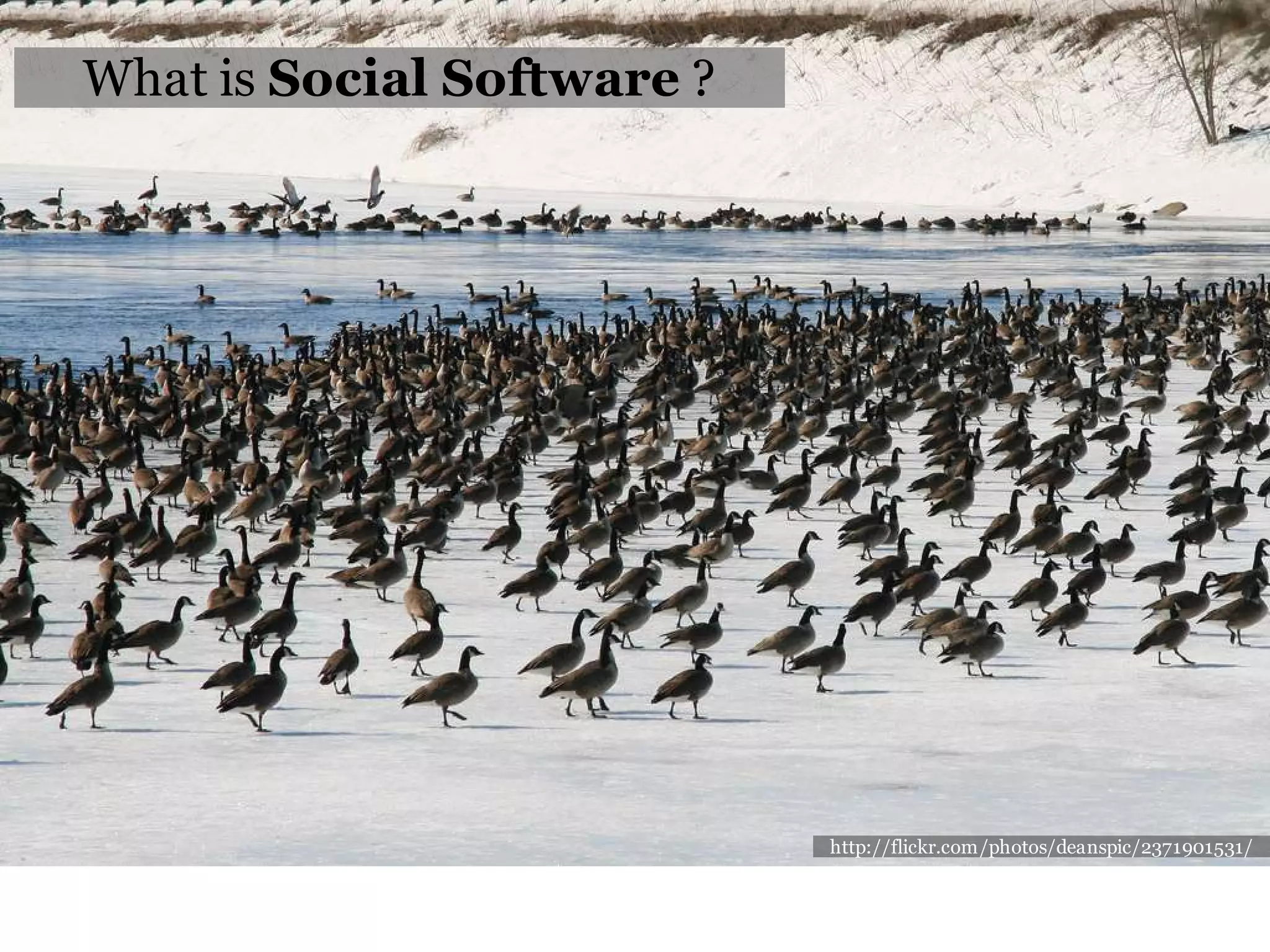 What is Social Software ?




                            http://flickr.com/photos/deanspic/2371901531/
 
