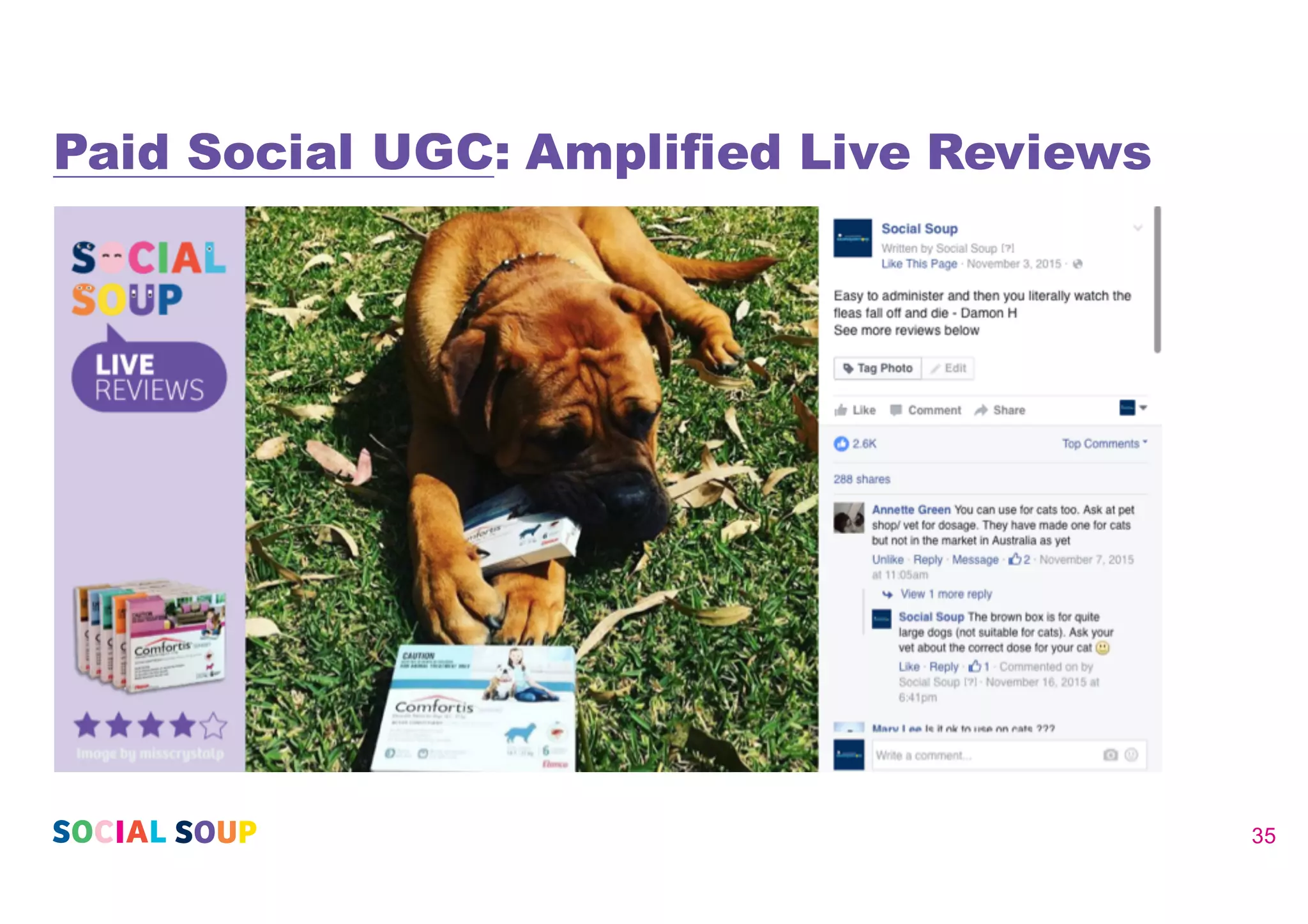 Paid Social UGC: Amplified Live Reviews
35
 