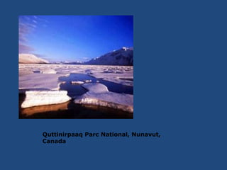 Quttinirpaaq Parc National, Nunavut,
Canada
 