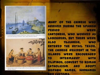 The Chinese natives made up the lower half of the social pyramidChinese expulsions were also carried out against the Chinese in 1755 and 1766, because of Spanish suspicion, but they were repealed in 1788 when the Spanish recognized the contributions the Chinese could make to the Philippine economy. 