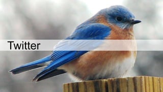 Twitter
 