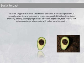 Research suggests that social stratification can cause many social problems. A
comprehensive study of major world economies revealed that homicide, infant
mortality, obesity, teenage pregnancies, emotional depression, teen suicide, and
prison population all correlate with higher social inequality.
Social impact
 