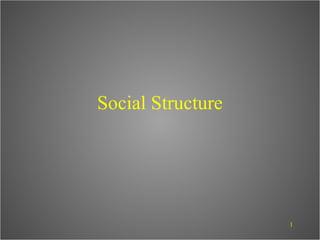 Social Structure




                   1
 