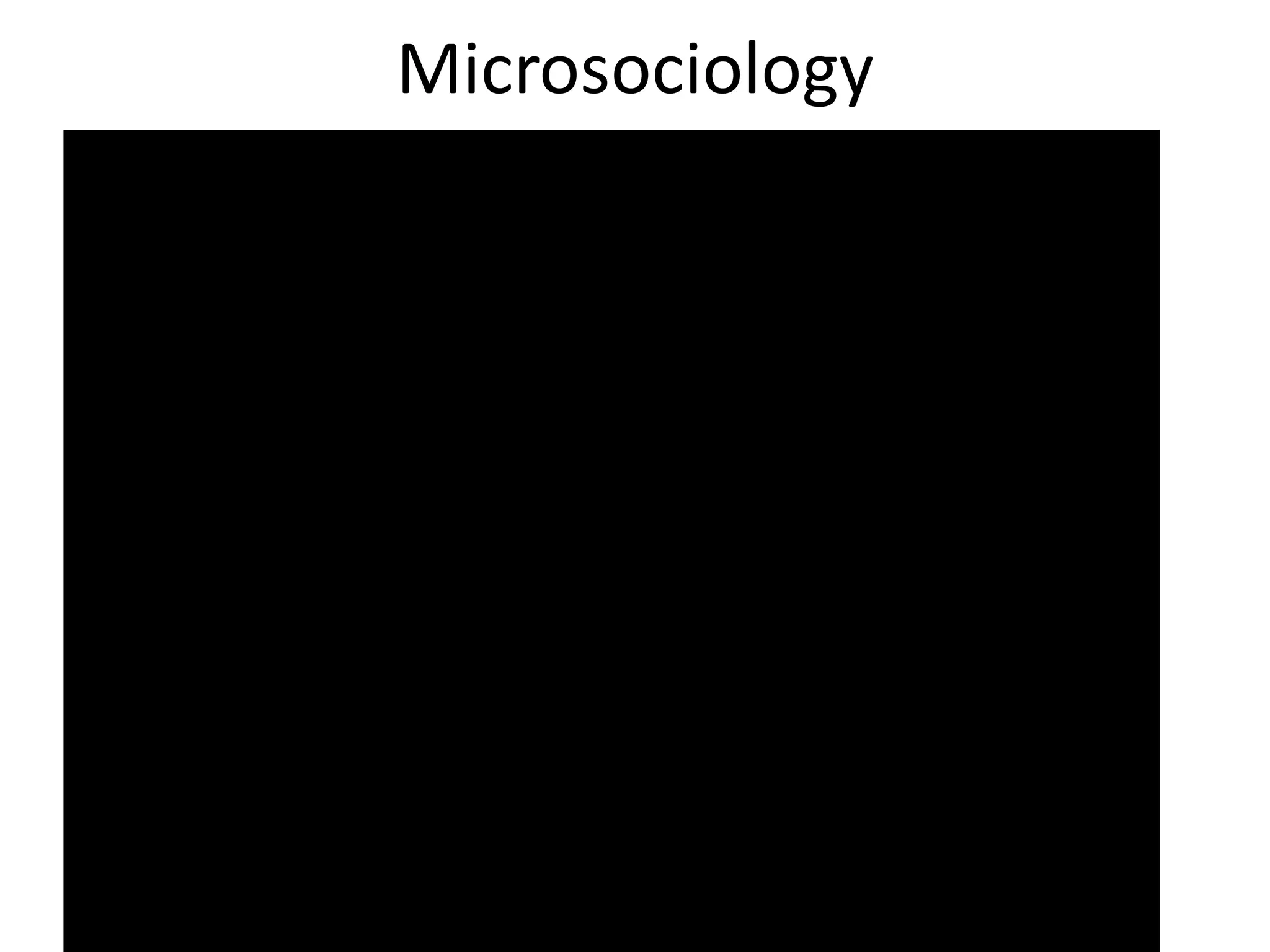 Microsociology Example Social structure and interaction chpt 4 | PPTX