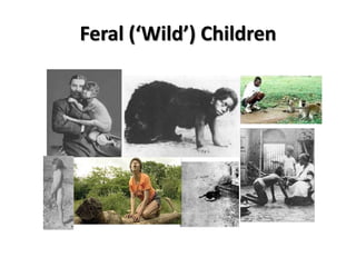 Feral (‘Wild’) Children
 